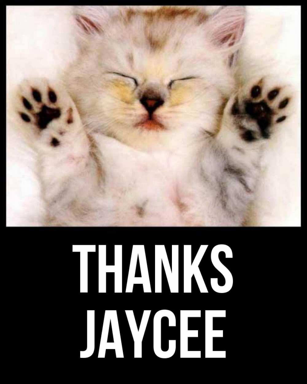 Greetings card с именем, Jaycee Thanks маленький котенок Greetings with text for free download 
