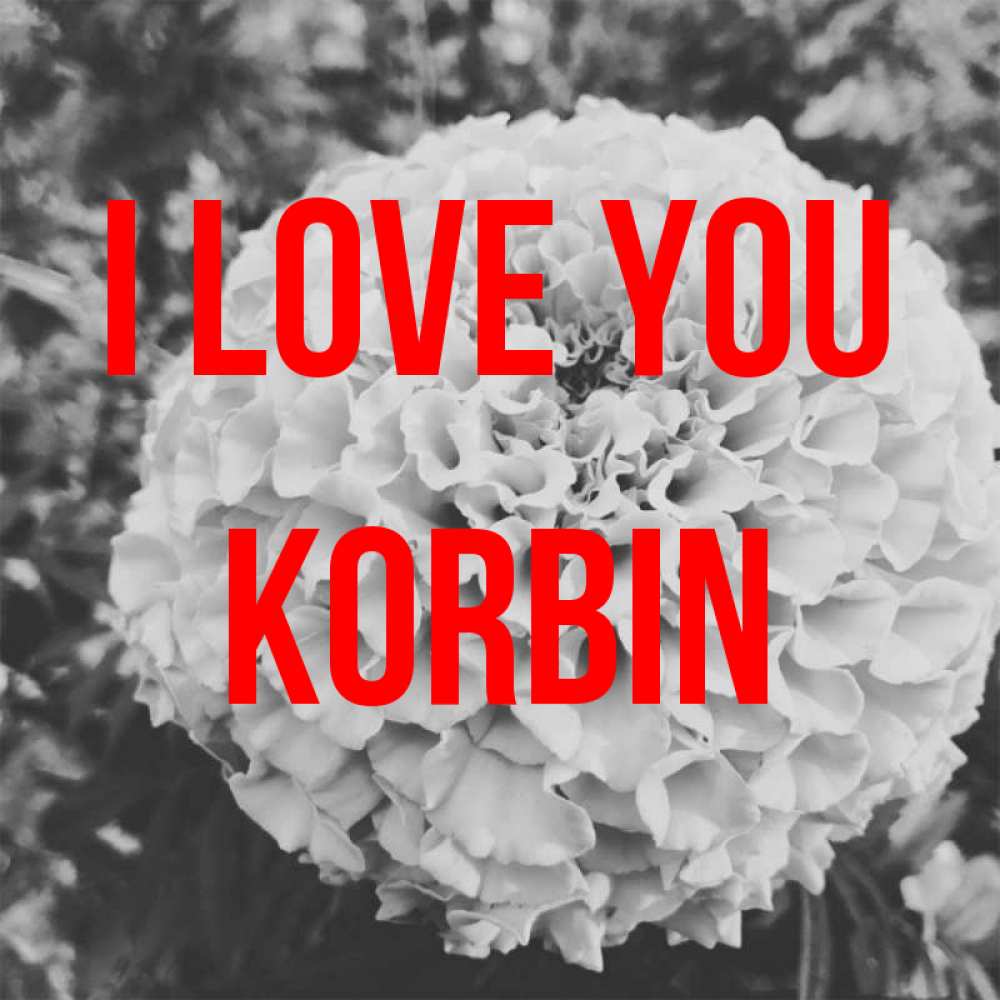 Greetings card с именем, Korbin I love you подпись Greetings with text for free download 