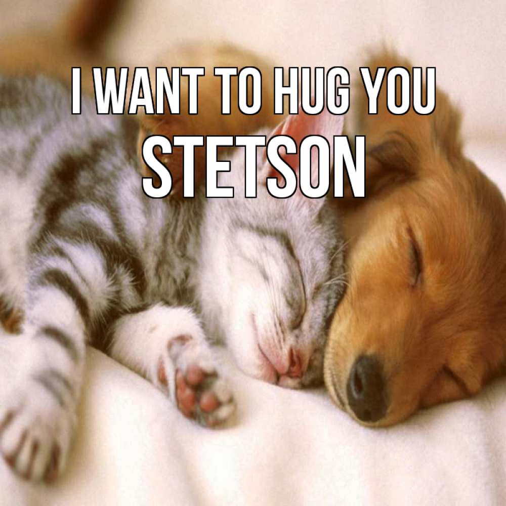 Greetings card с именем, Stetson I want to hug you пес и котенок Greetings with text for free download 
