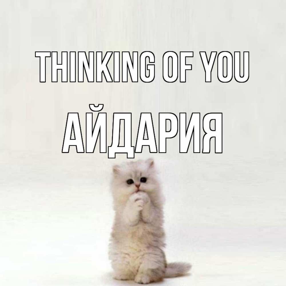 Greetings card с именем, АЙДАРИЯ Thinking of you кот стоит на задних лапах Greetings with text for free download 