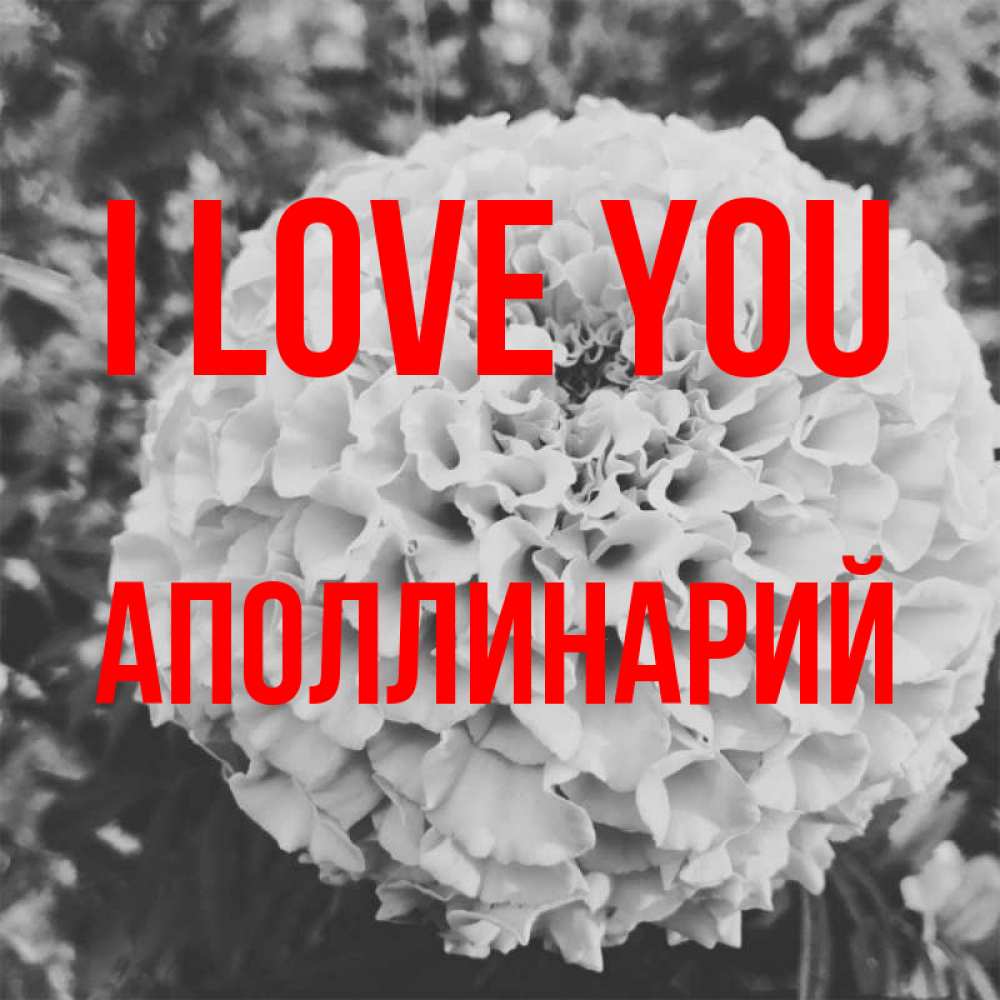 Greetings card с именем, Аполлинарий I love you подпись Greetings with text for free download 