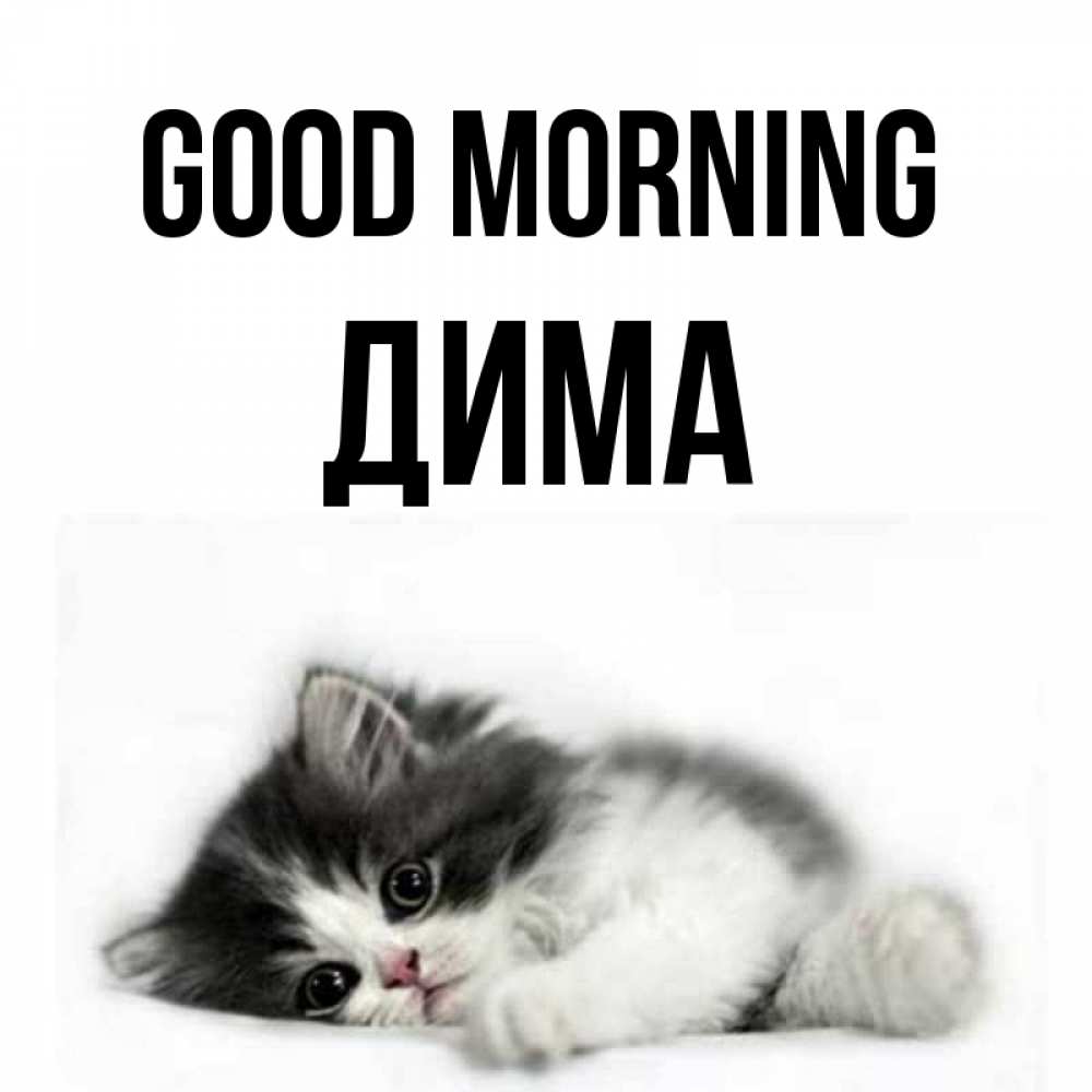 Greetings card с именем, Дима Good morning кот лапки Greetings with text for free download 
