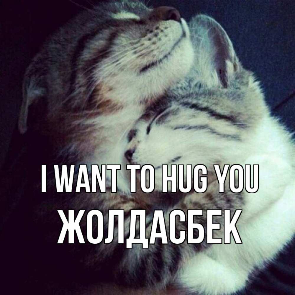 Greetings card с именем, Жолдасбек I want to hug you полосатики Greetings with text for free download 