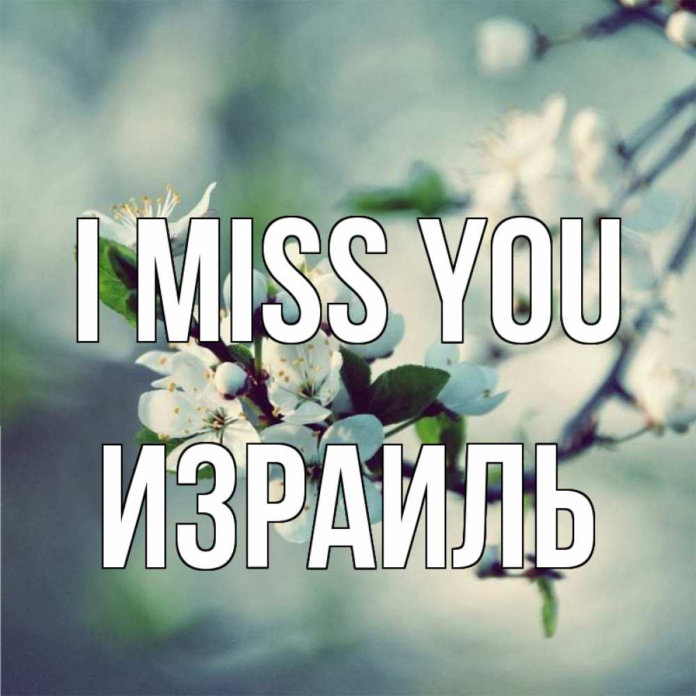Greetings card с именем, Израиль I miss you весна Greetings with text for free download 