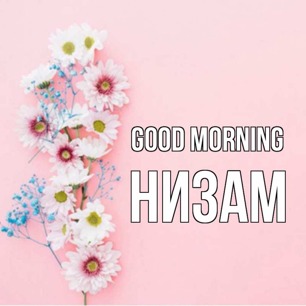 Greetings card с именем, НИЗАМ Good morning цветы с подписью Greetings with text for free download 