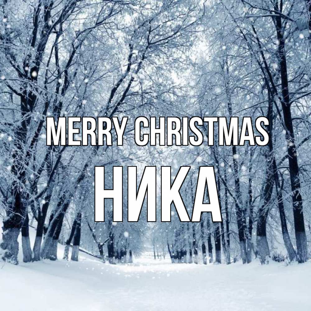 Greetings card с именем, Ника Merry Christmas снег, лес, парк Greetings with text for free download 