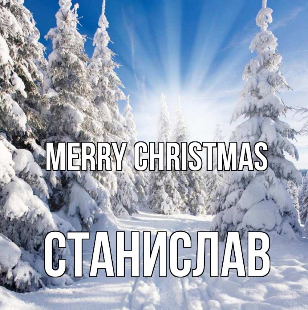 Greetings card с именем, Станислав Merry Christmas зима, лес Greetings with text for free download 