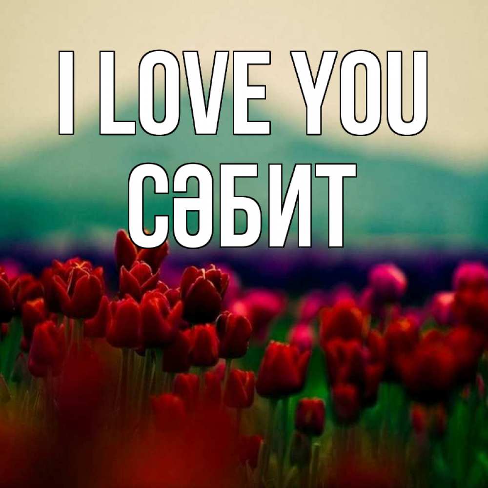 Greetings card с именем, СӘБИТ I love you тюльпаны 4 Greetings with text for free download 