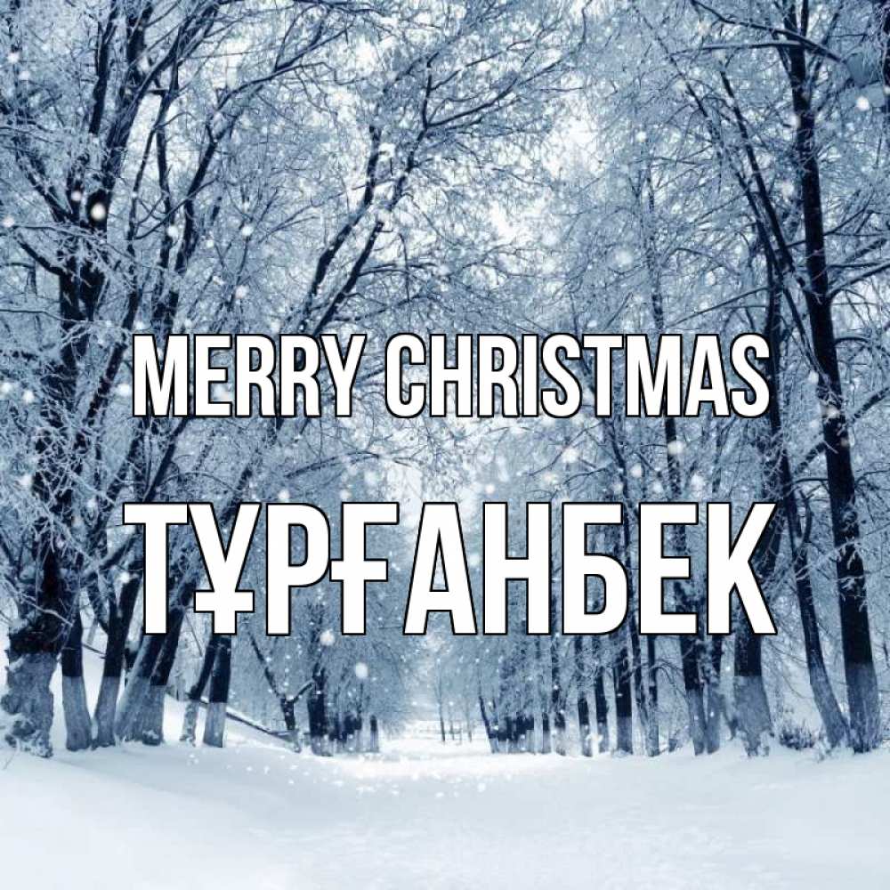 Greetings card с именем, ТҰРҒАНБЕК Merry Christmas снег, лес, парк Greetings with text for free download 