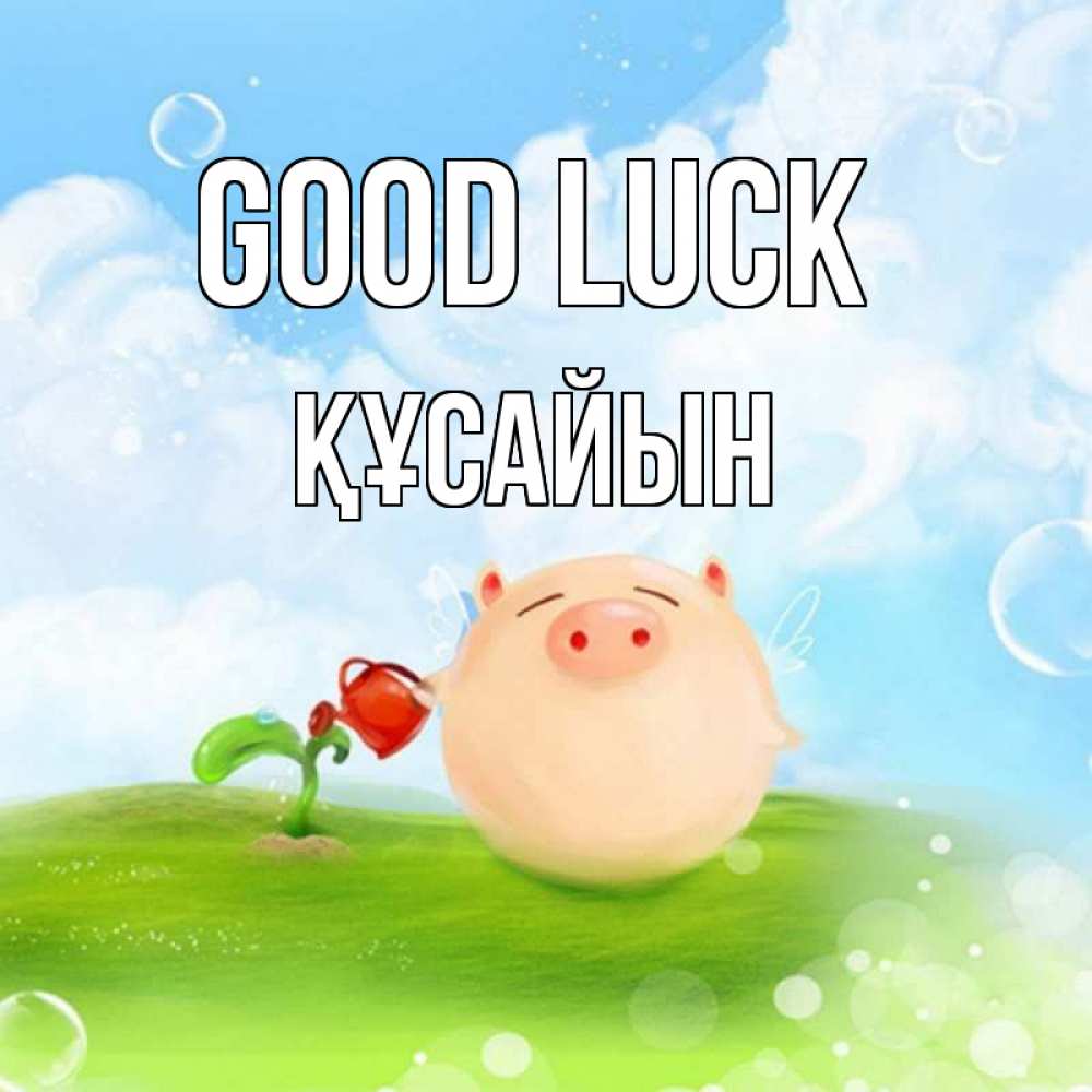 Greetings card с именем, ҚҰСАЙЫН Good luck поросенок поливает цветок. летнее настроение Greetings with text for free download 
