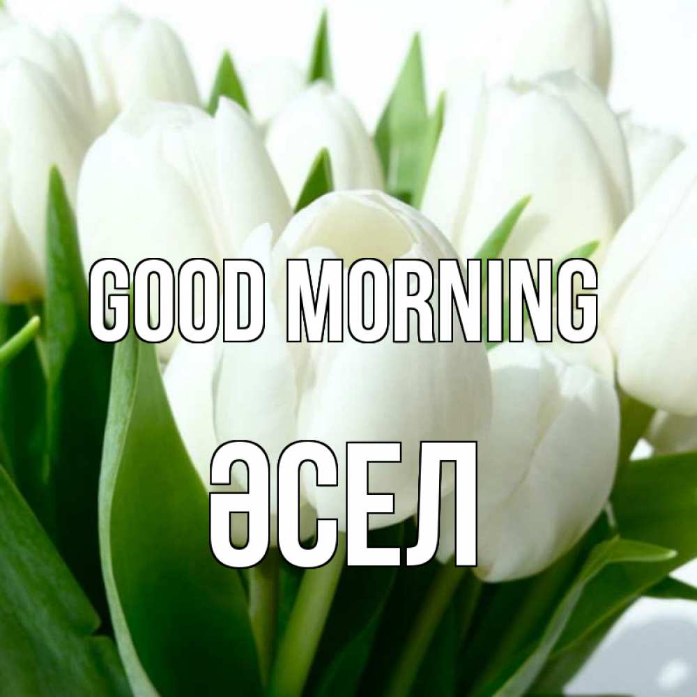 Greetings card с именем, ӘСЕЛ Good morning открытки на каждый день по именам Greetings with text for free download 