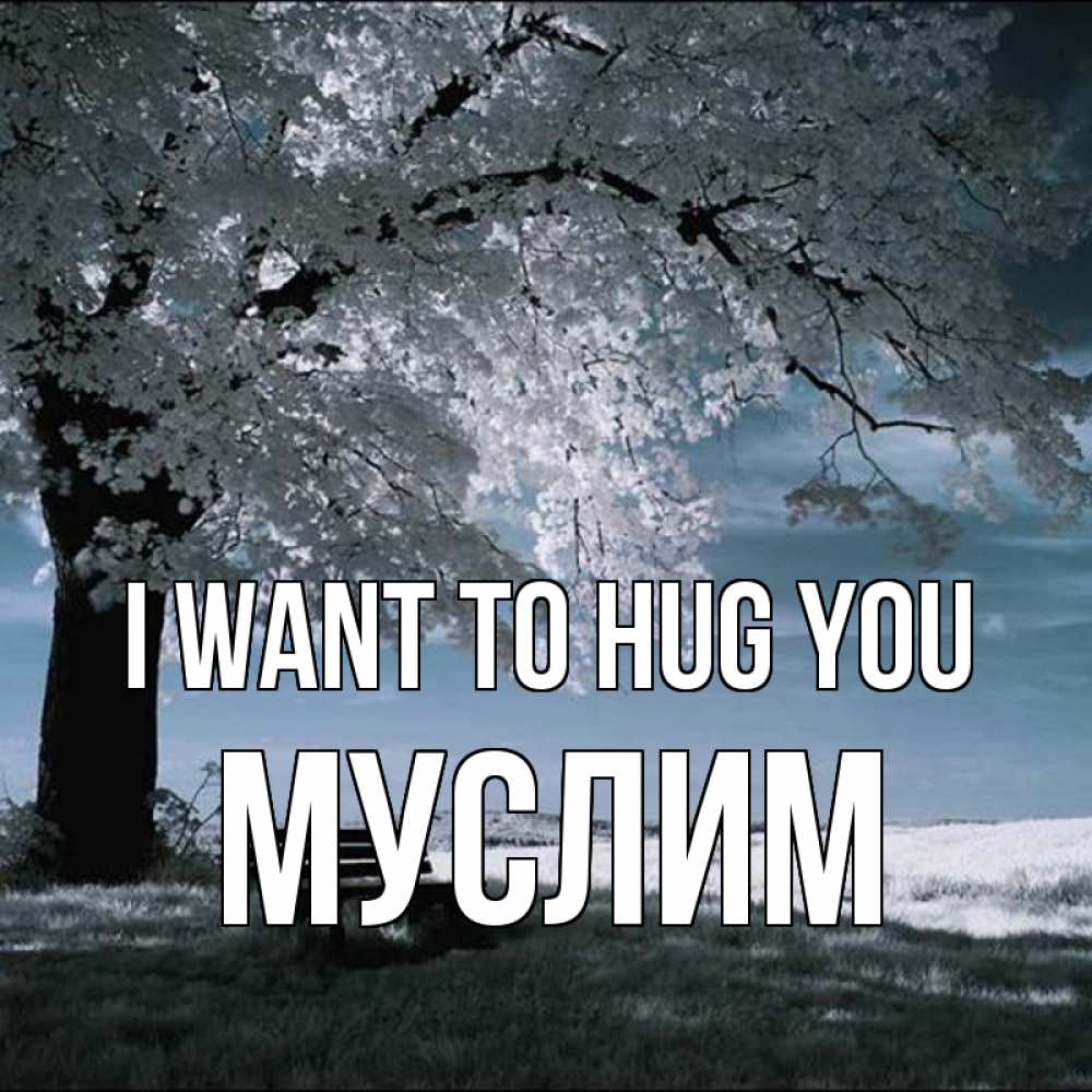 Greetings card с именем, Муслим I want to hug you дерево Greetings with text for free download 