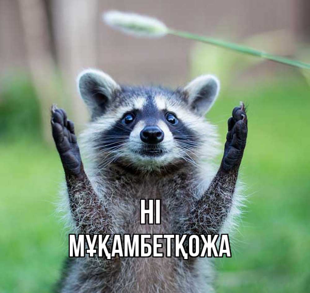 Greetings card с именем, Мұқамбетқожа Hi животные Greetings with text for free download 