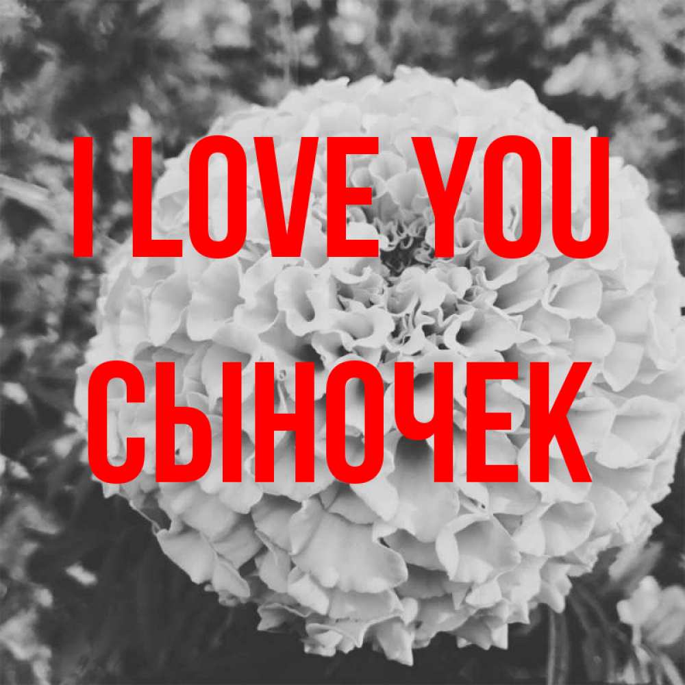 Greetings card с именем, Сыночек I love you подпись Greetings with text for free download 