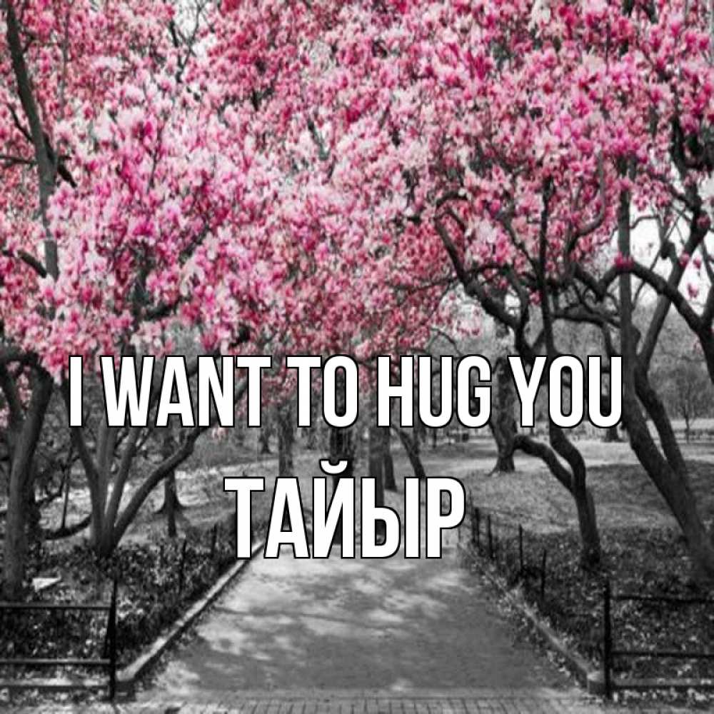 Greetings card с именем, ТАЙЫР I want to hug you обработанное фото Greetings with text for free download 