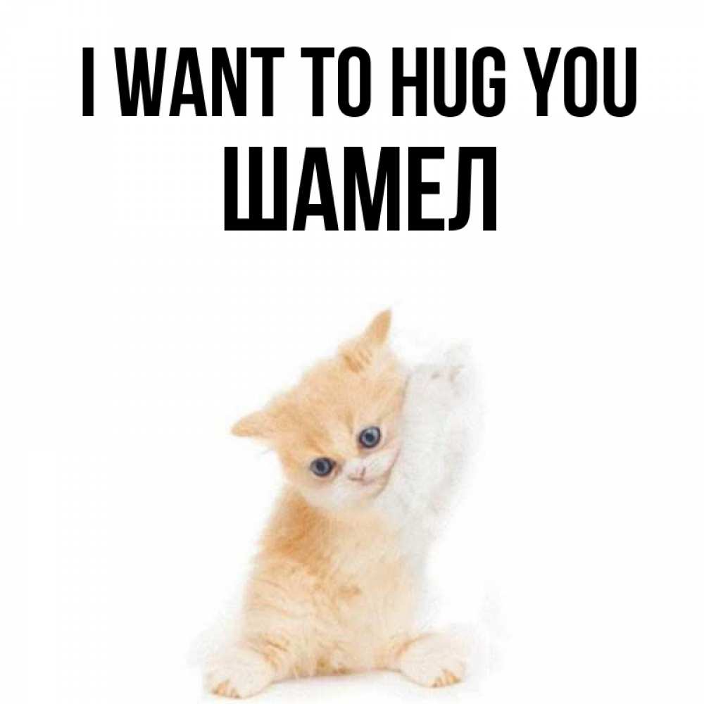 Greetings card с именем, ШАМЕЛ I want to hug you я хочу очень скорее обнимаешек Greetings with text for free download 