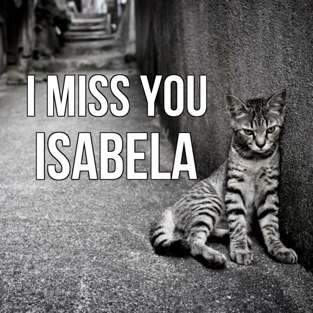 Greetings card с именем, Isabela I miss you одиноко котику Greetings with text for free download 