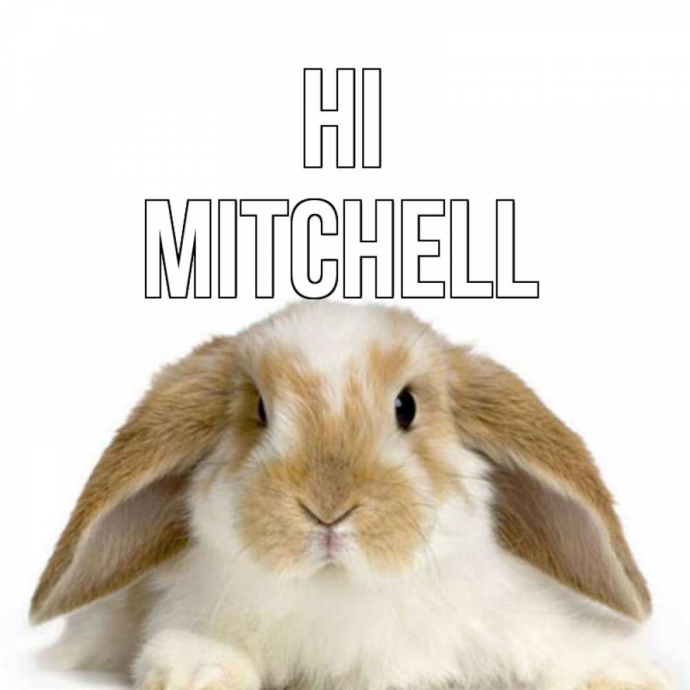 Greetings card с именем, Mitchell Hi с животными Greetings with text for free download 