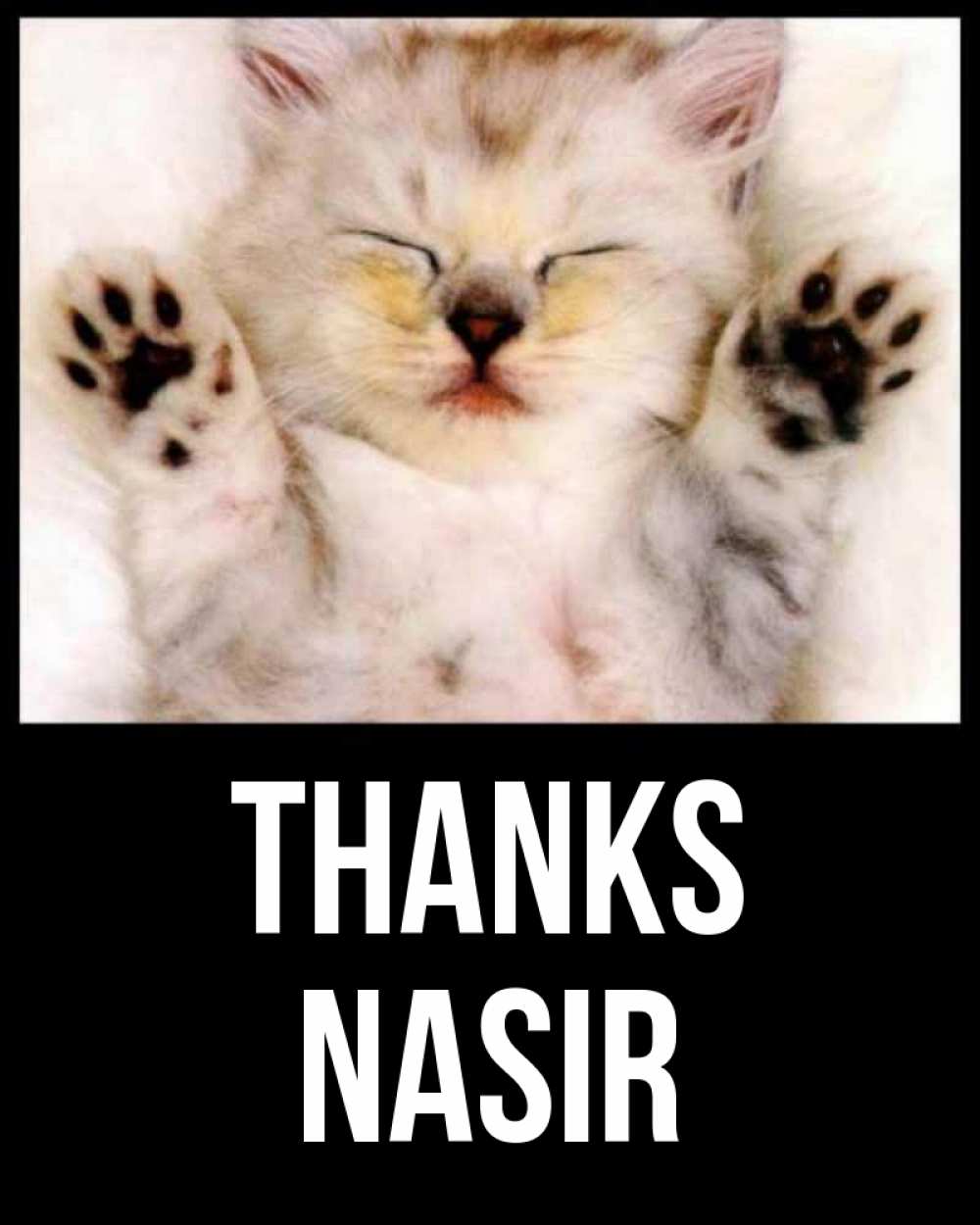 Greetings card с именем, Nasir Thanks маленький котенок Greetings with text for free download 