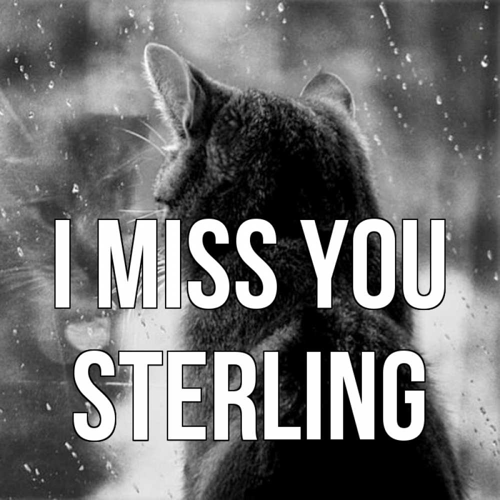 Greetings card с именем, Sterling I miss you скорее ко мне приходи 1 Greetings with text for free download 