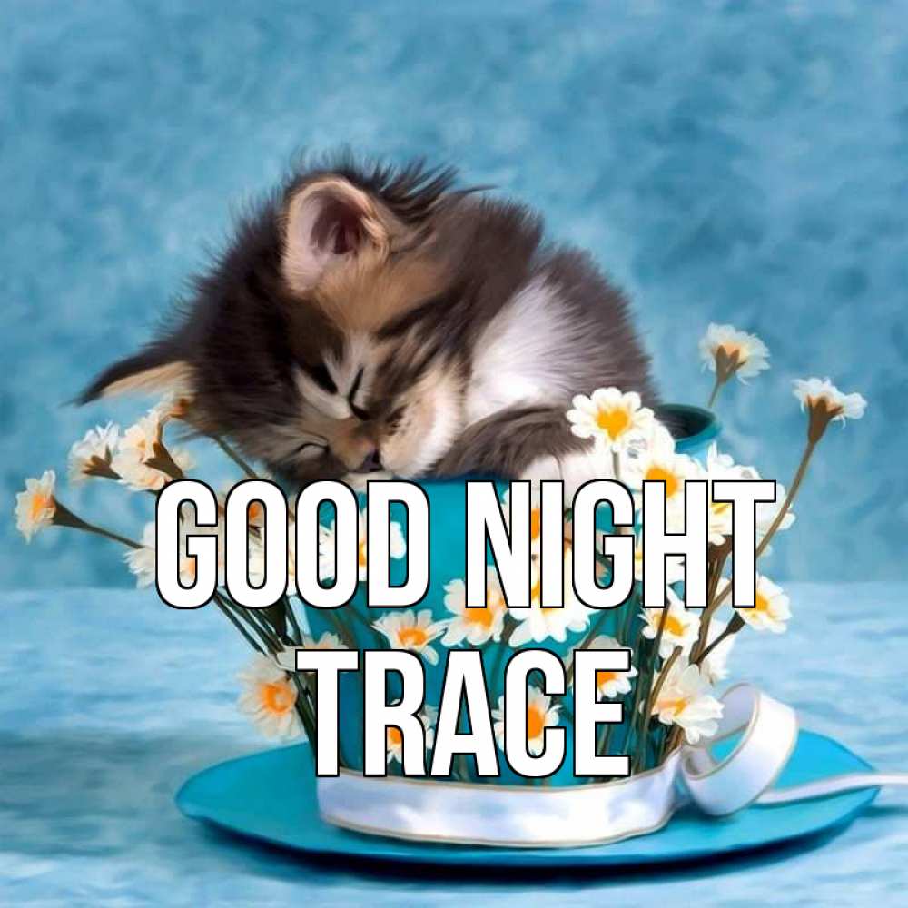 Greetings card с именем, Trace Good night котенок спит в кружке с блюдцем Greetings with text for free download 