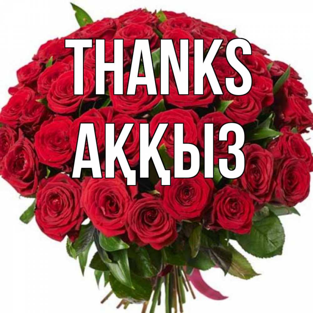 Greetings card с именем, АҚҚЫЗ Thanks букет красных роз Greetings with text for free download 