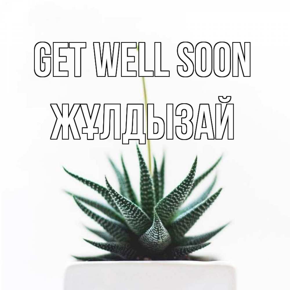 Greetings card с именем, ЖҰЛДЫЗАЙ Get well soon короче это непонятная колючка Greetings with text for free download 