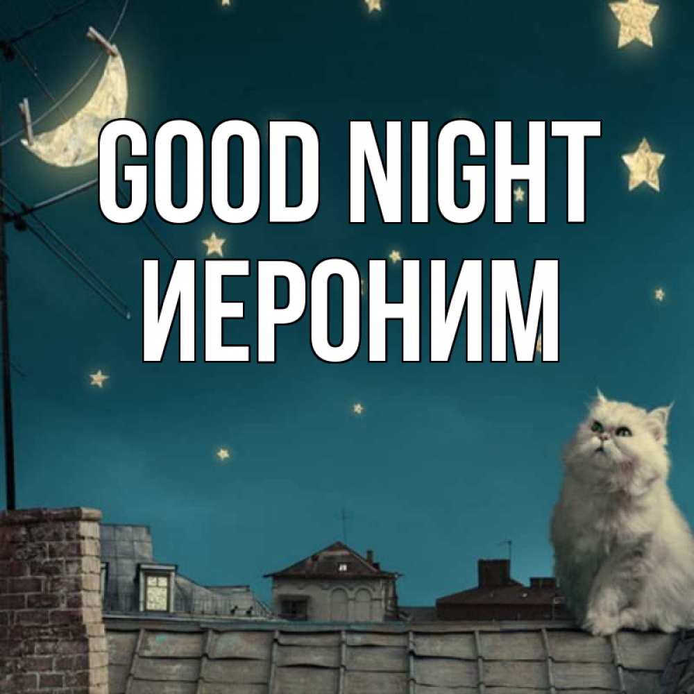 Greetings card с именем, Иероним Good night белый кот сидит на крыше Greetings with text for free download 
