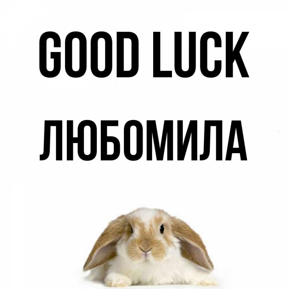 Greetings card с именем, Любомила Good luck открытки с произвольным текстом который можно вставить в открытку и создать ее самостоятельно бесплатно онлайн Greetings with text for free download 