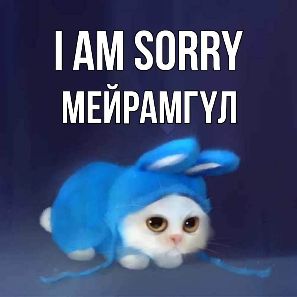 Greetings card с именем, МЕЙРАМГҮЛ I am sorry невинный котозай просит прощения Greetings with text for free download 
