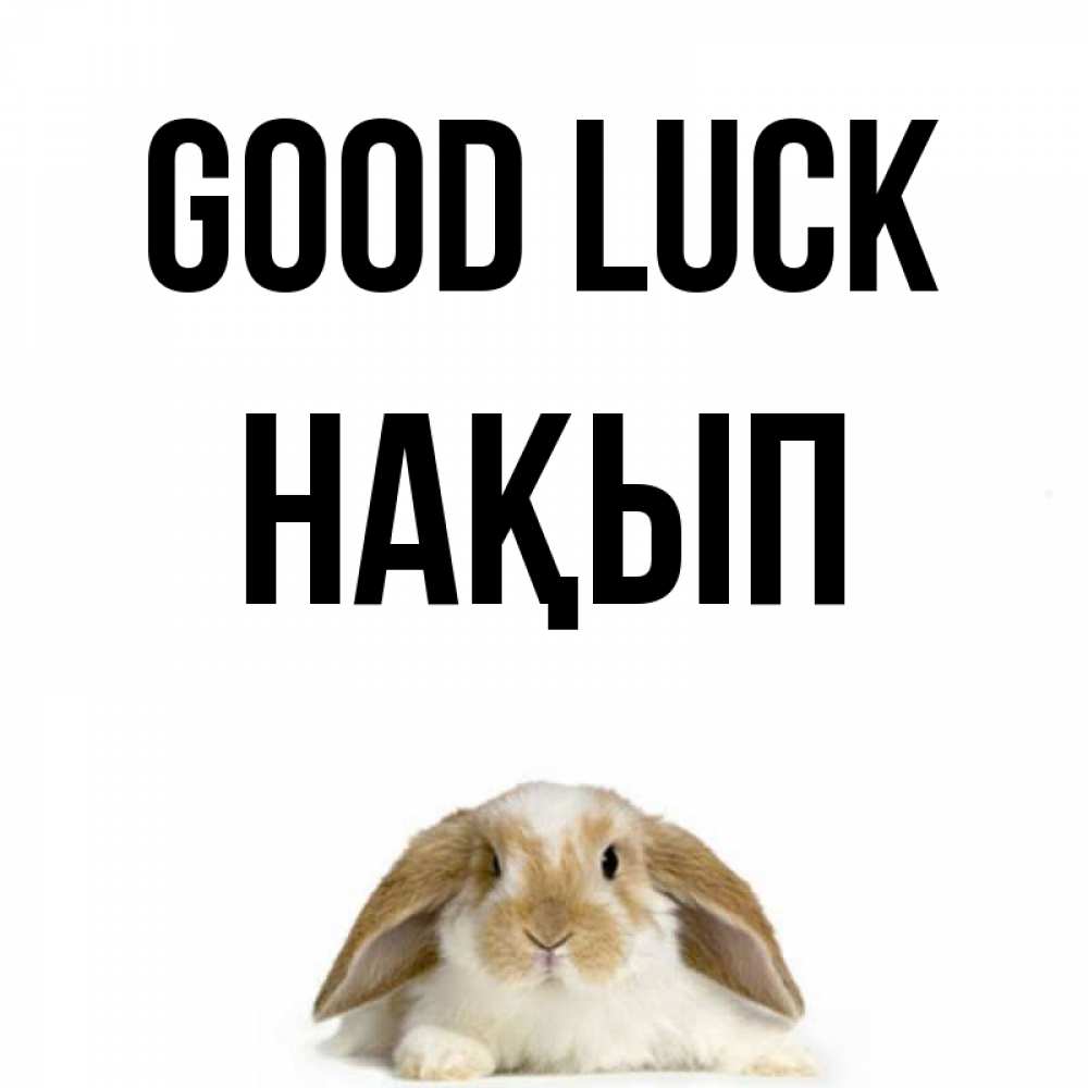 Greetings card с именем, НАҚЫП Good luck открытки с произвольным текстом который можно вставить в открытку и создать ее самостоятельно бесплатно онлайн Greetings with text for free download 