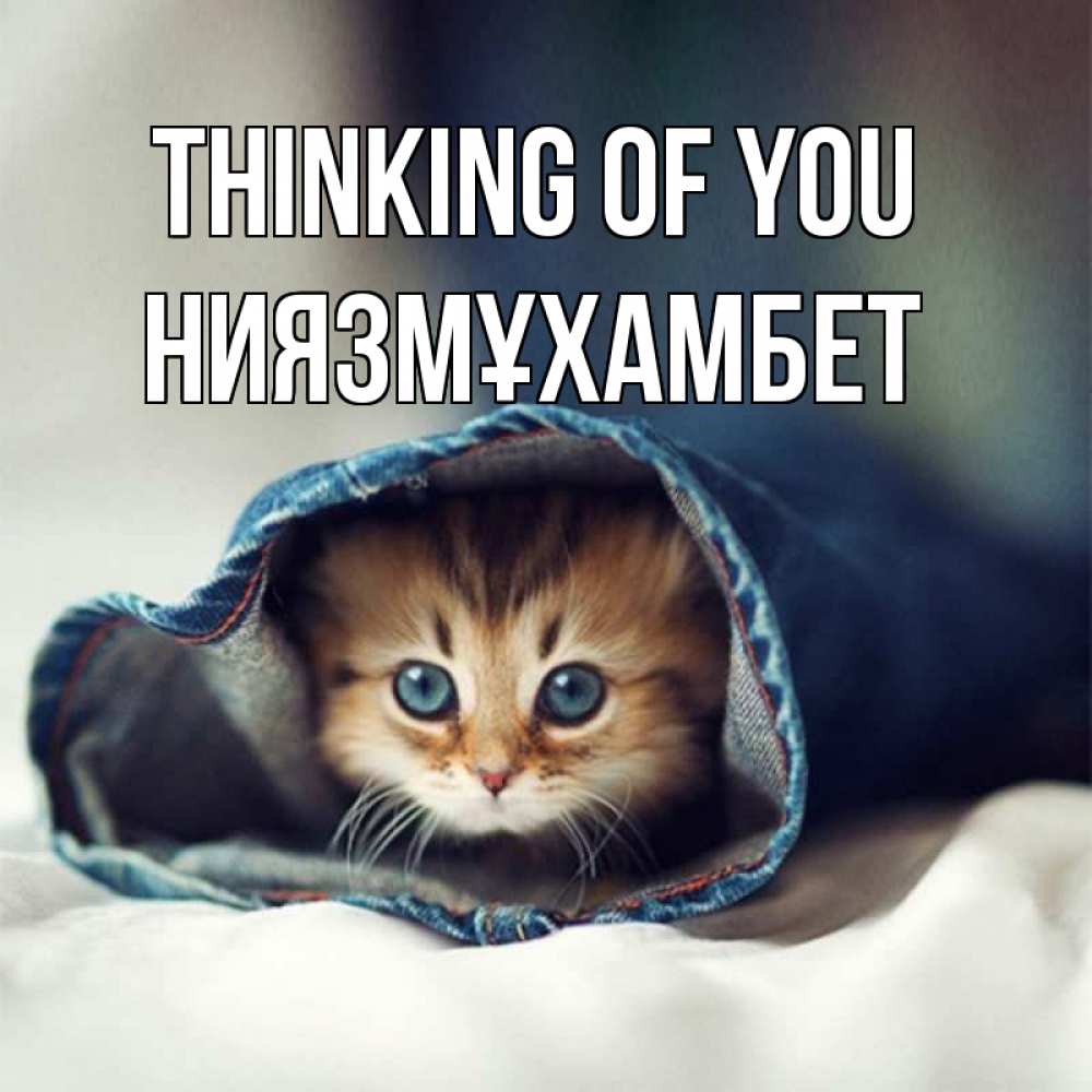 Greetings card с именем, НИЯЗМҰХАМБЕТ Thinking of you мне без тебя плохо Greetings with text for free download 