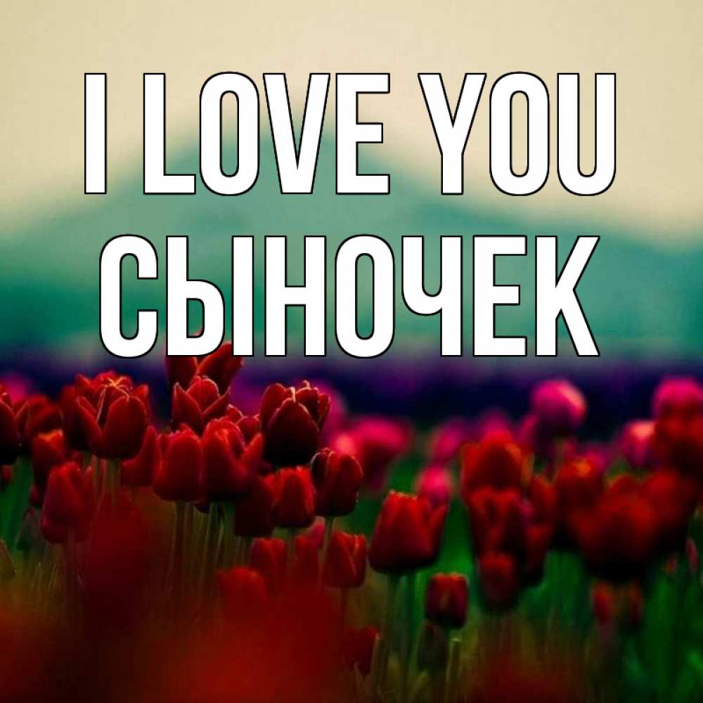 Greetings card с именем, Сыночек I love you тюльпаны 4 Greetings with text for free download 