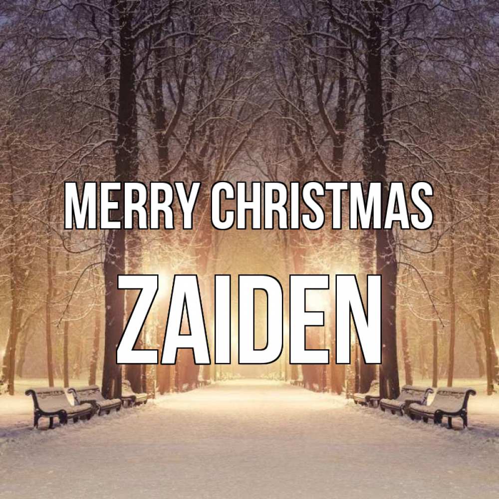 Greetings card с именем, Zaiden Merry Christmas зима, парк, фонарь, лес Greetings with text for free download 
