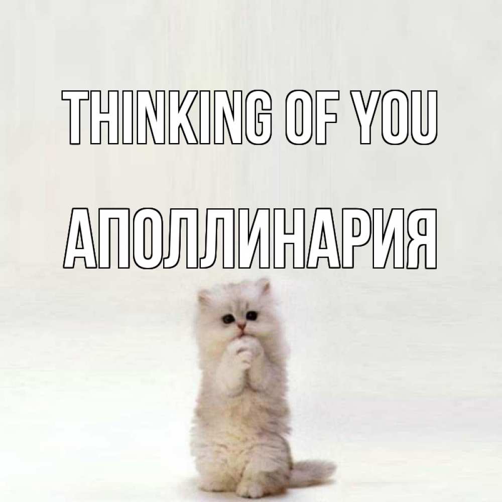Greetings card с именем, Аполлинария Thinking of you кот стоит на задних лапах Greetings with text for free download 