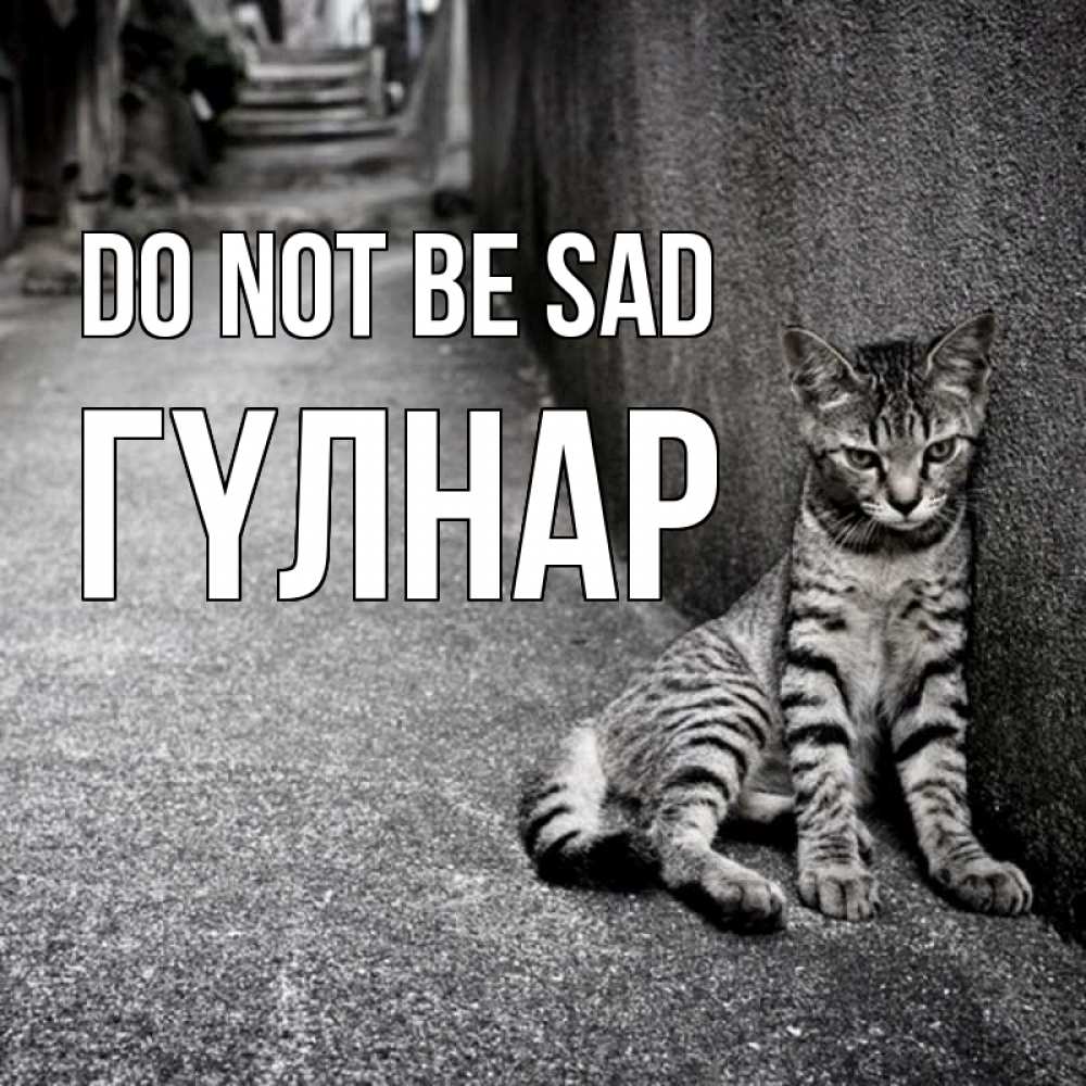Greetings card с именем, ГҮЛНАР Do not be sad скучающий котик Greetings with text for free download 