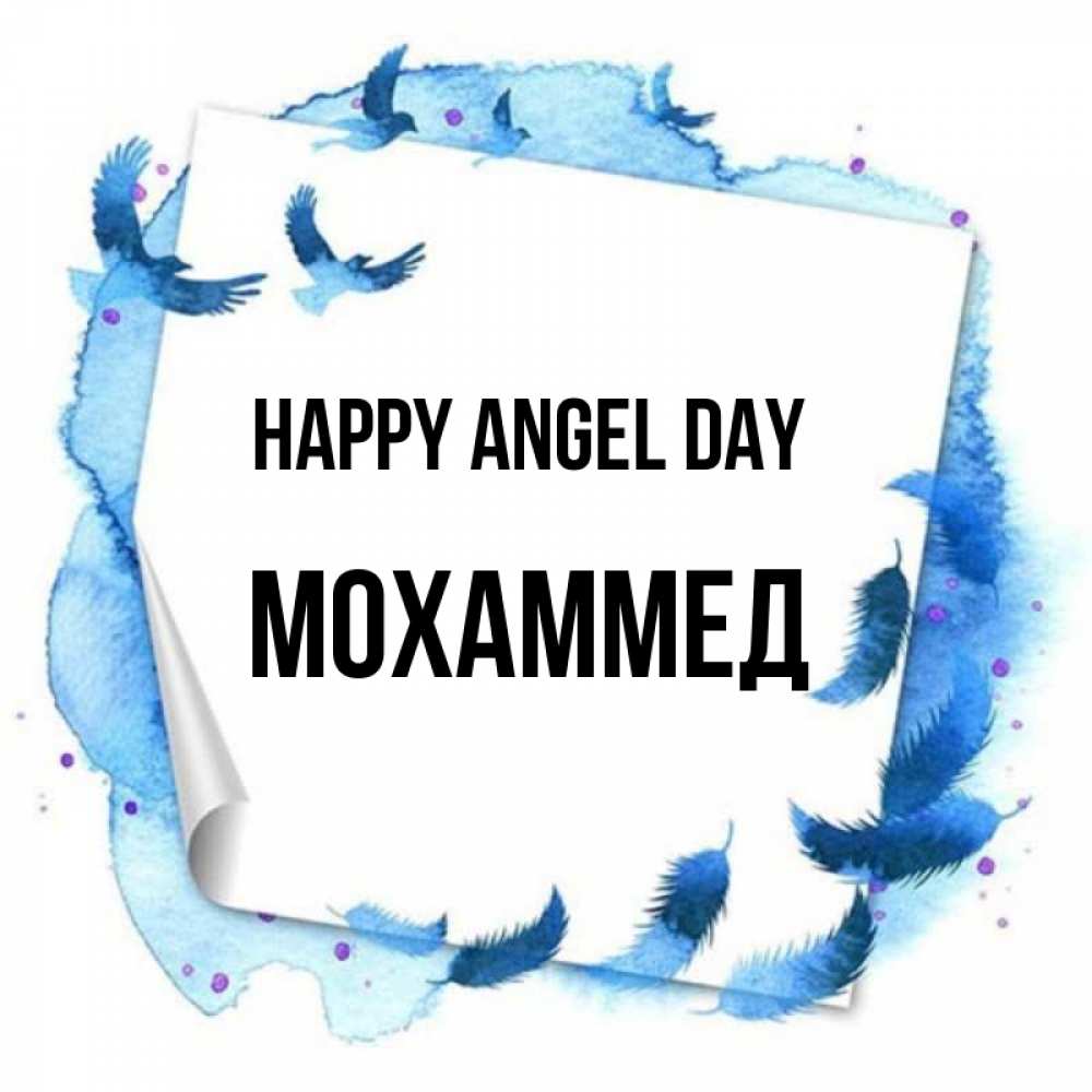 Greetings card с именем, Мохаммед happy angel day красивые птицы летят Greetings with text for free download 