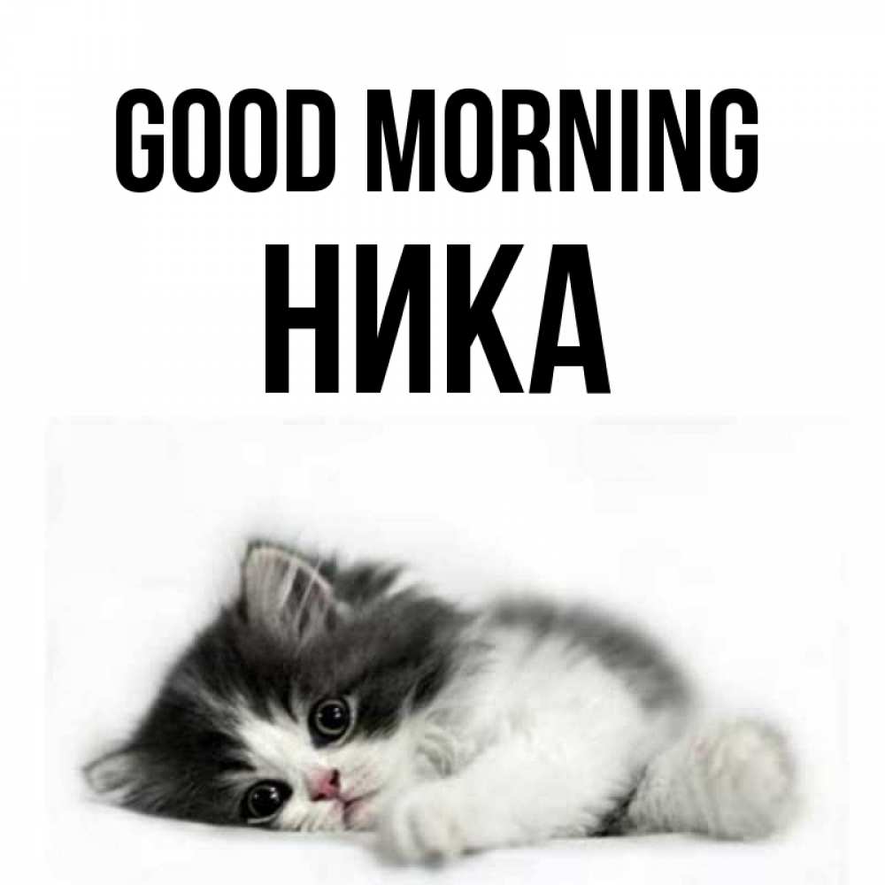 Greetings card с именем, Ника Good morning кот лапки Greetings with text for free download 