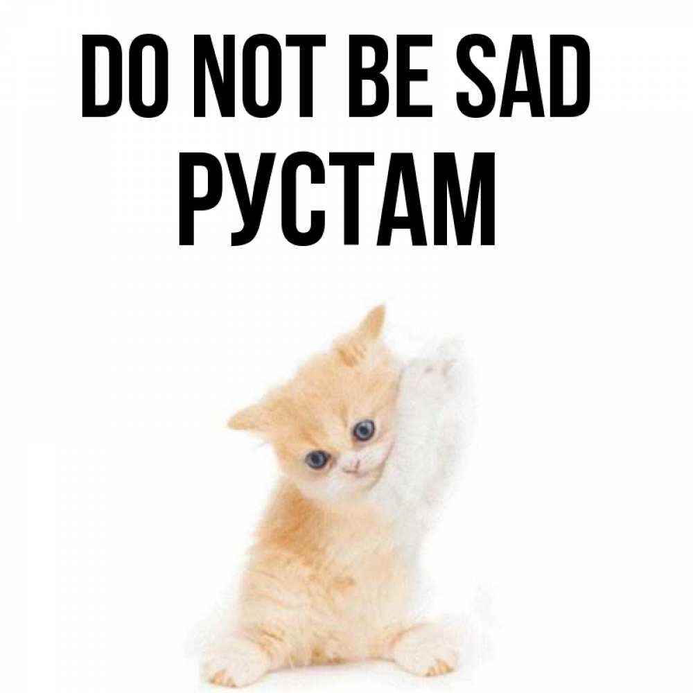 Greetings card с именем, Рустам Do not be sad просящий кот Greetings with text for free download 