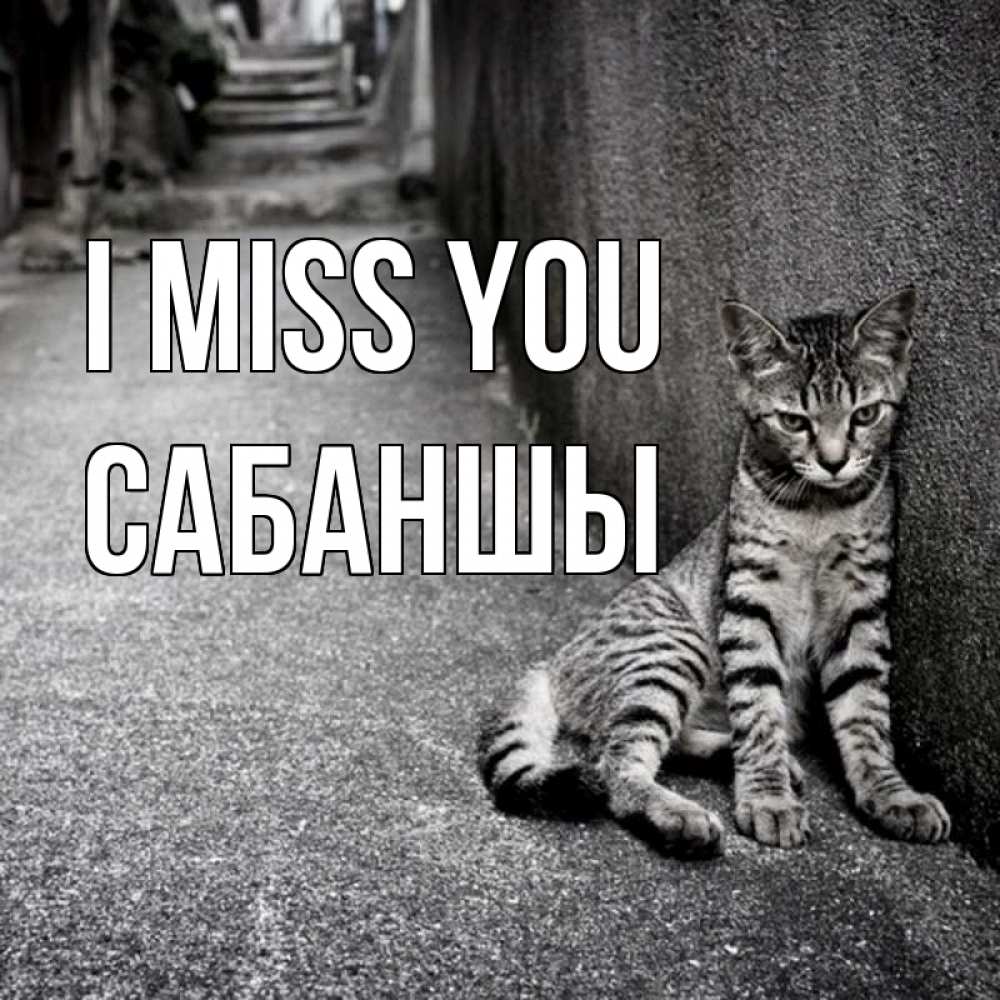 Greetings card с именем, САБАНШЫ I miss you одиноко котику Greetings with text for free download 