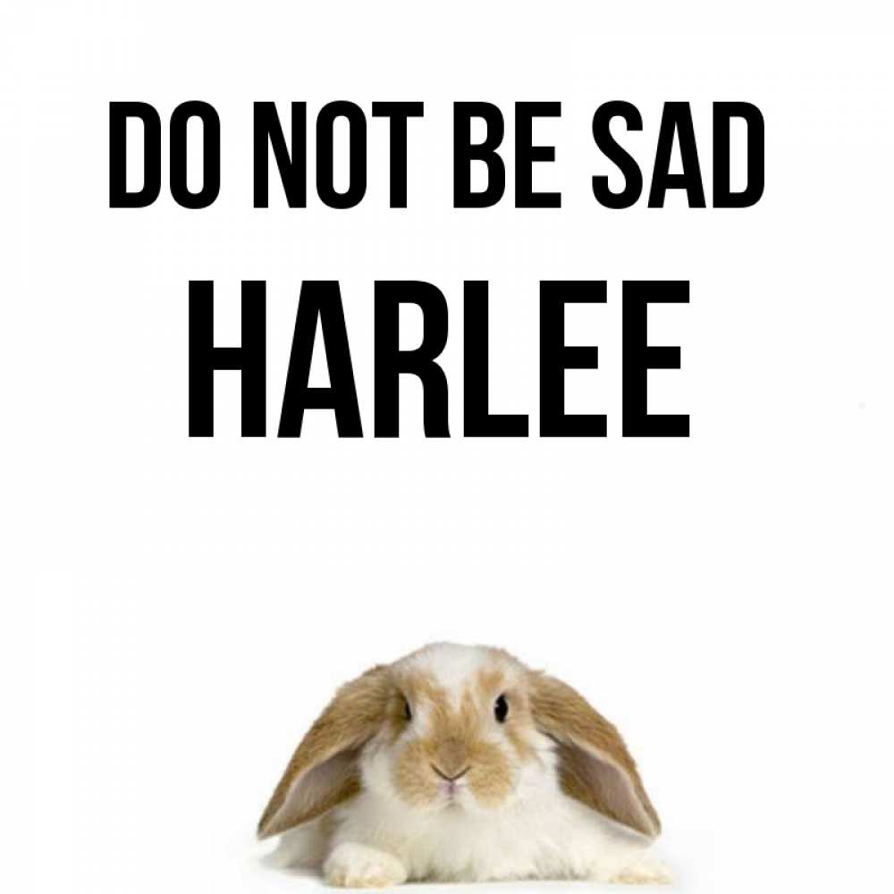 Greetings card с именем, Harlee Do not be sad коричнево белый заяц с большими ушками Greetings with text for free download 