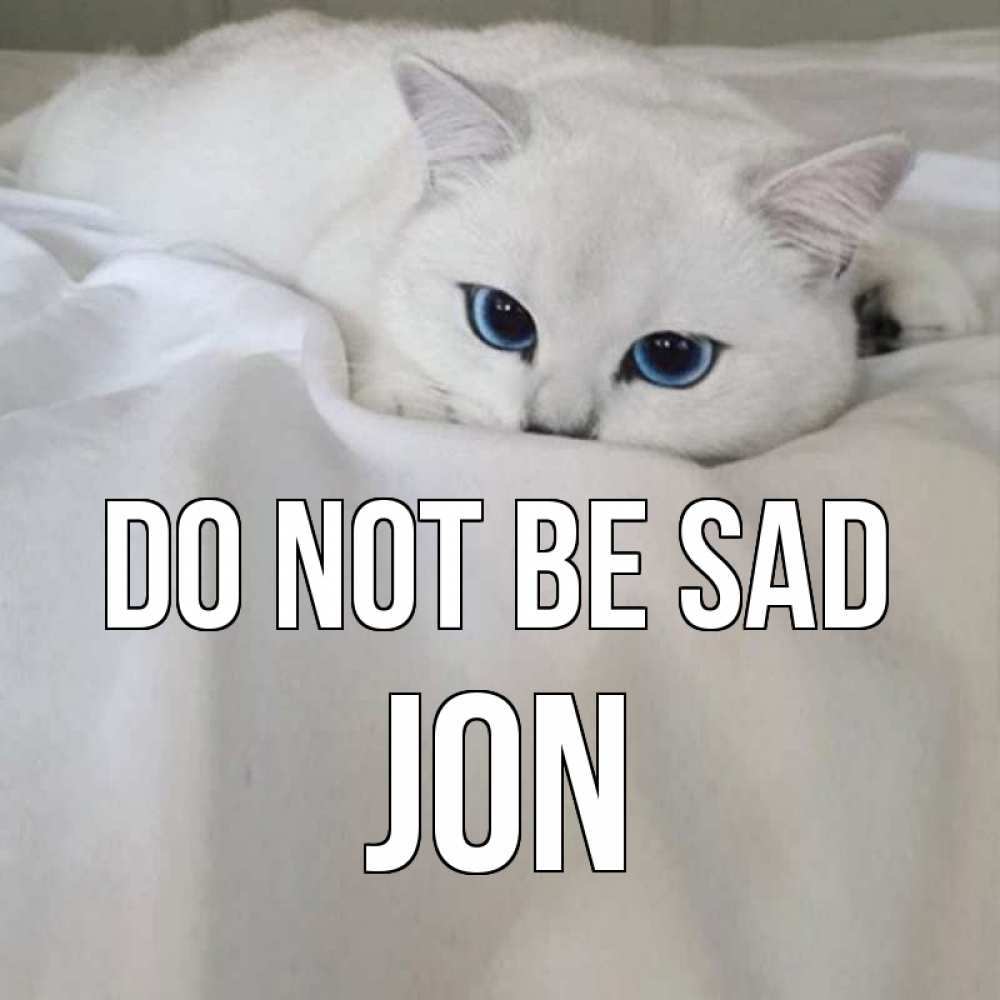 Greetings card с именем, Jon Do not be sad белый кот с голубыми глазами на белоснежной кровати Greetings with text for free download 
