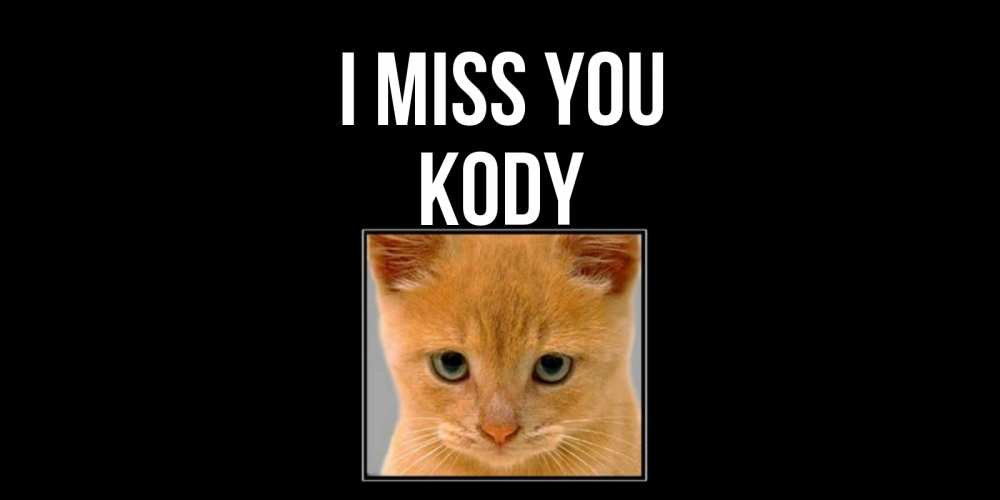 Greetings card с именем, Kody I miss you открытки рыжий котенок скучает по тебе Greetings with text for free download 