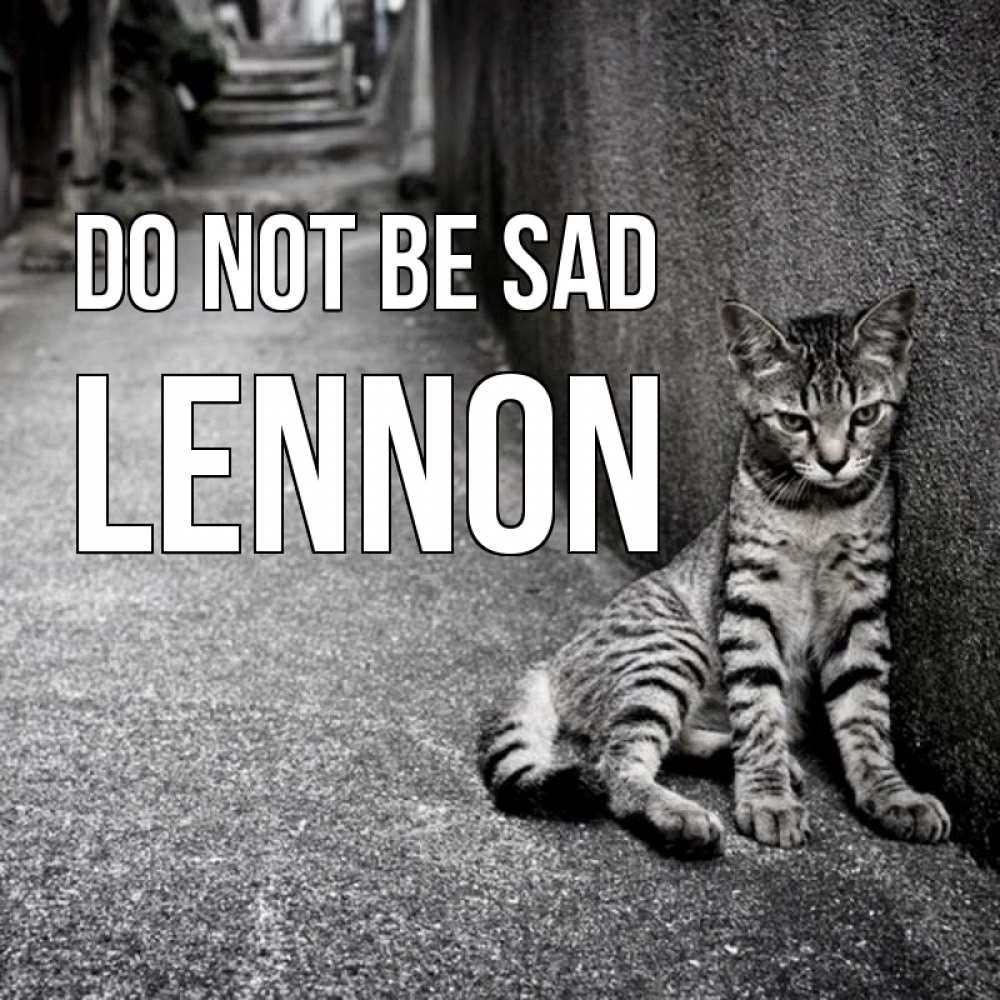 Greetings card с именем, Lennon Do not be sad скучающий котик Greetings with text for free download 