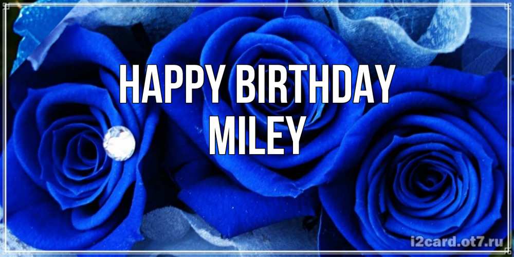 Greetings card с именем, Miley Happy Birthday синие розы в росе Greetings with text for free download 