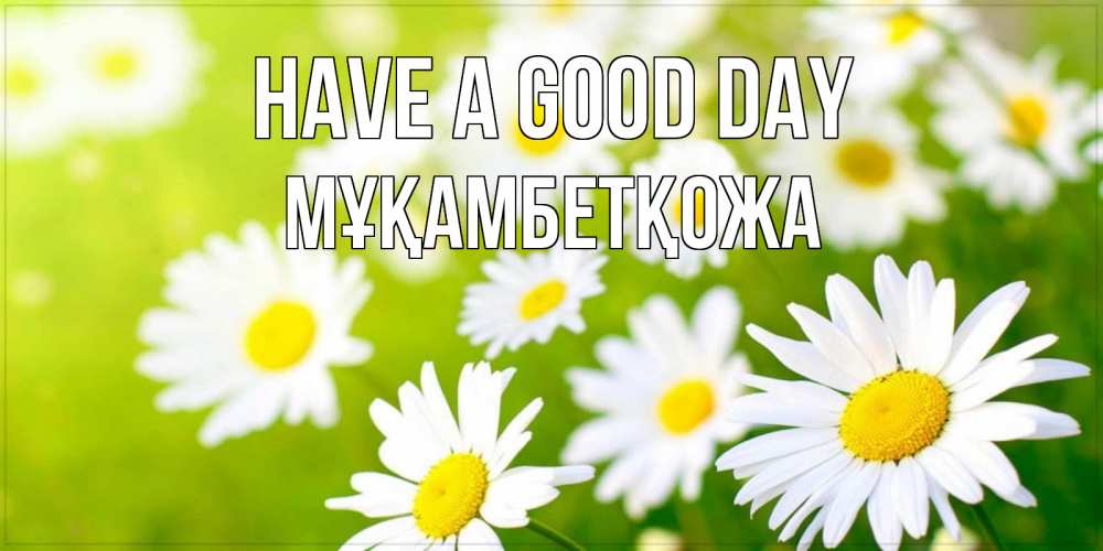 Greetings card с именем, Мұқамбетқожа Have a good day открытка с ромашками на зеленом фоне Greetings with text for free download 