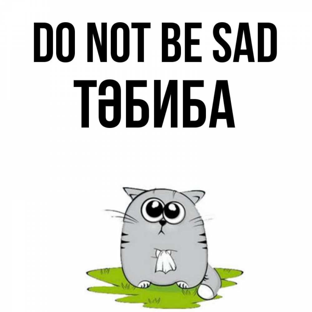 Greetings card с именем, ТӘБИБА Do not be sad грустный котяра Greetings with text for free download 
