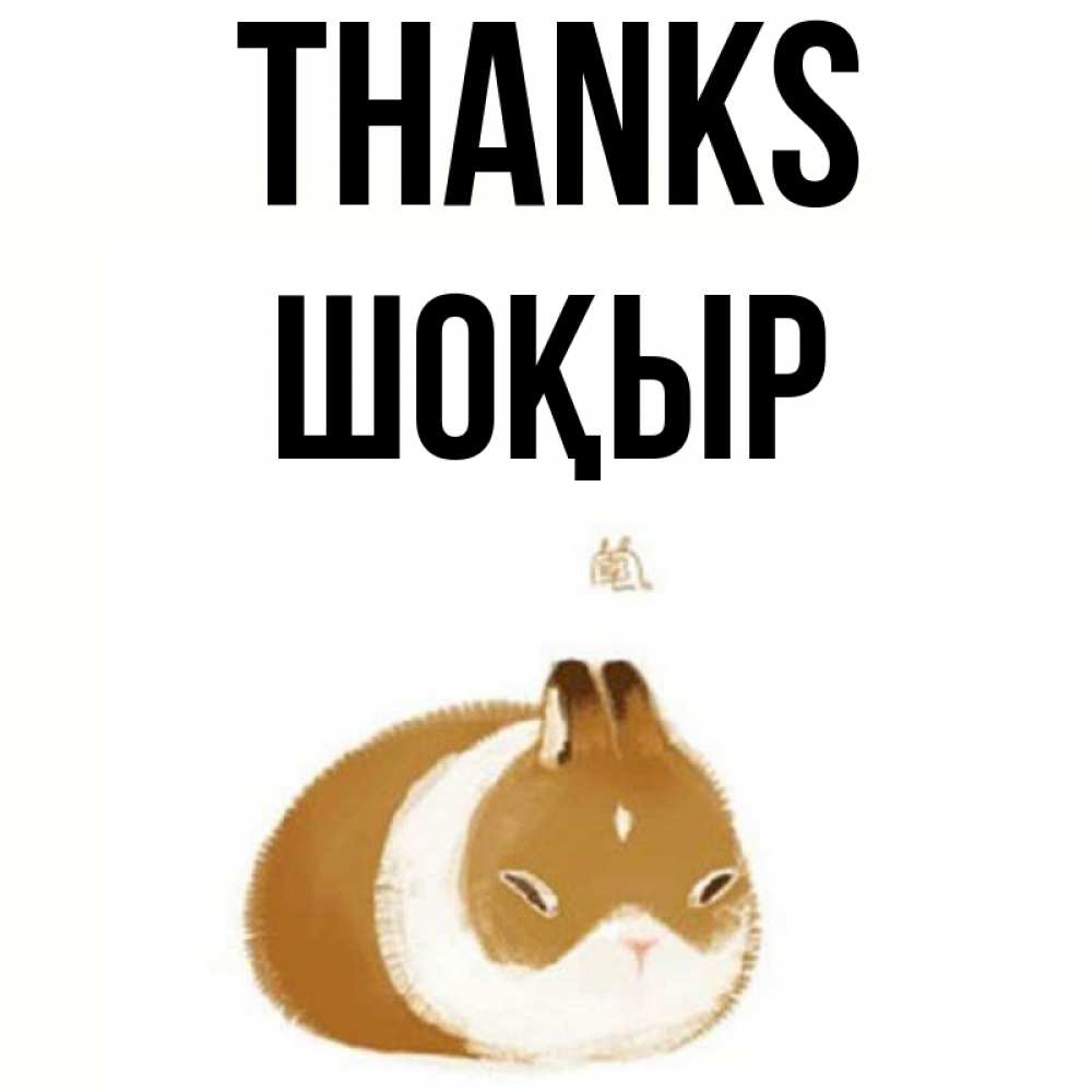 Greetings card с именем, ШОҚЫР Thanks коричнево белый домашний питомец Greetings with text for free download 