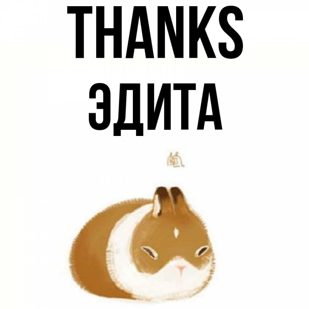 Greetings card с именем, Эдита Thanks коричнево белый домашний питомец Greetings with text for free download 