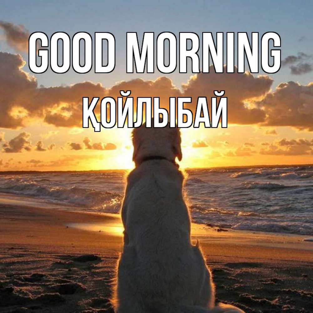 Greetings card с именем, Қойлыбай Good morning восход солнца Greetings with text for free download 
